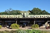 Disney's Animal Kingdom