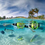 Dolphin Encounter