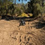 Offroading