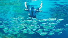 Snorkeling