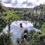 Ziplining