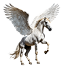 Pegasus Travel Logo